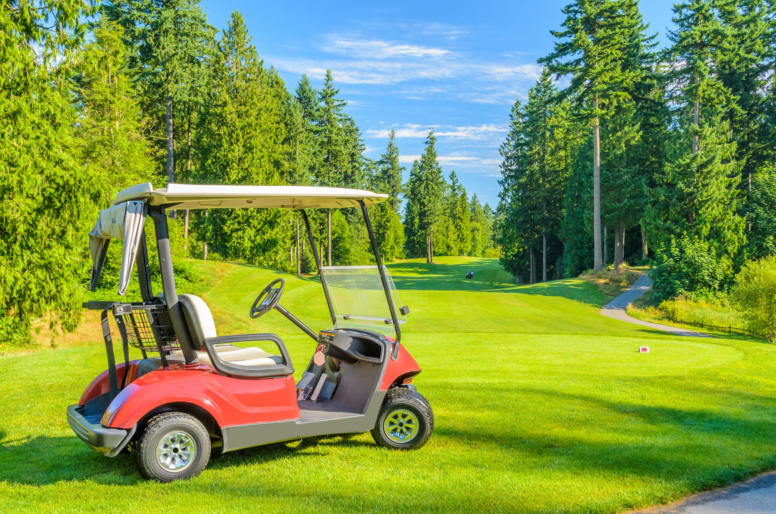 Golf Cart Batteries